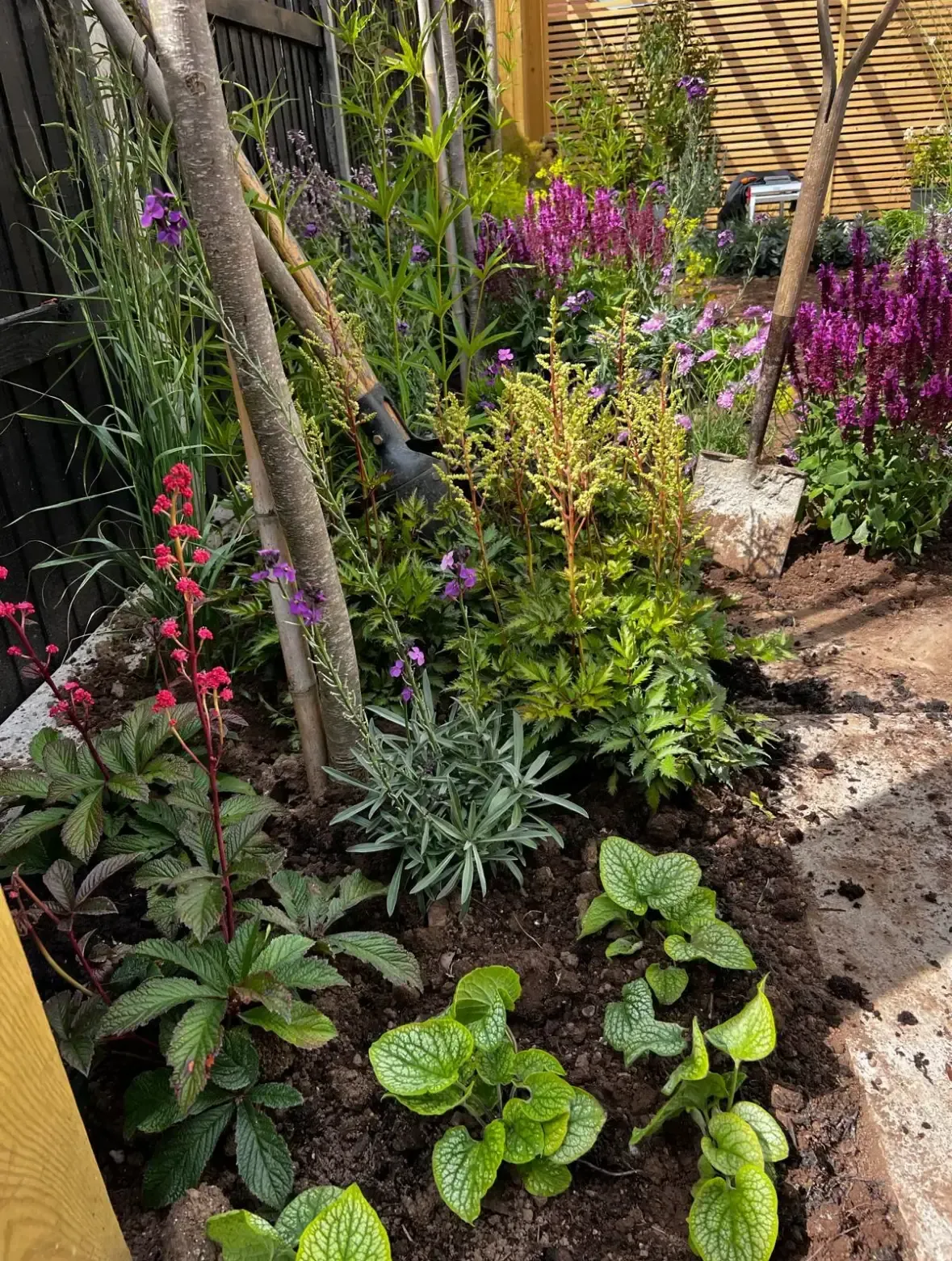 Layered perennials and ornamental grasses in Beaulieu garden