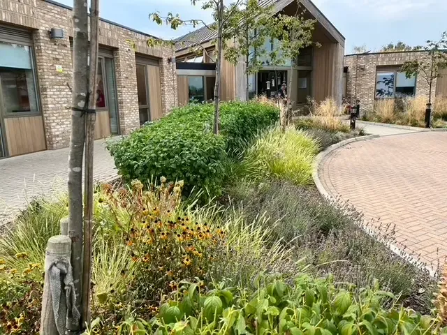 Sensory walk at Noah’s Ark Children’s Hospice with textural planting and accessible routes