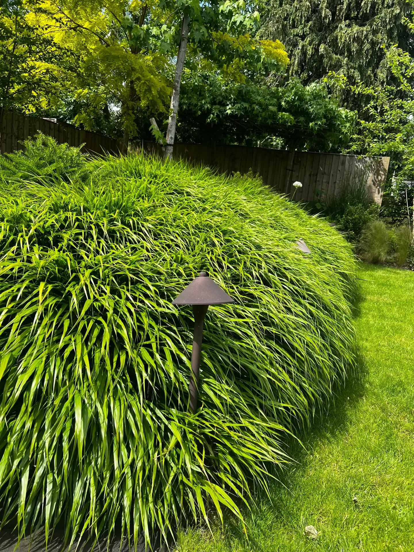 Concealed terrace hatch leading to temperature-controlled wine cellar