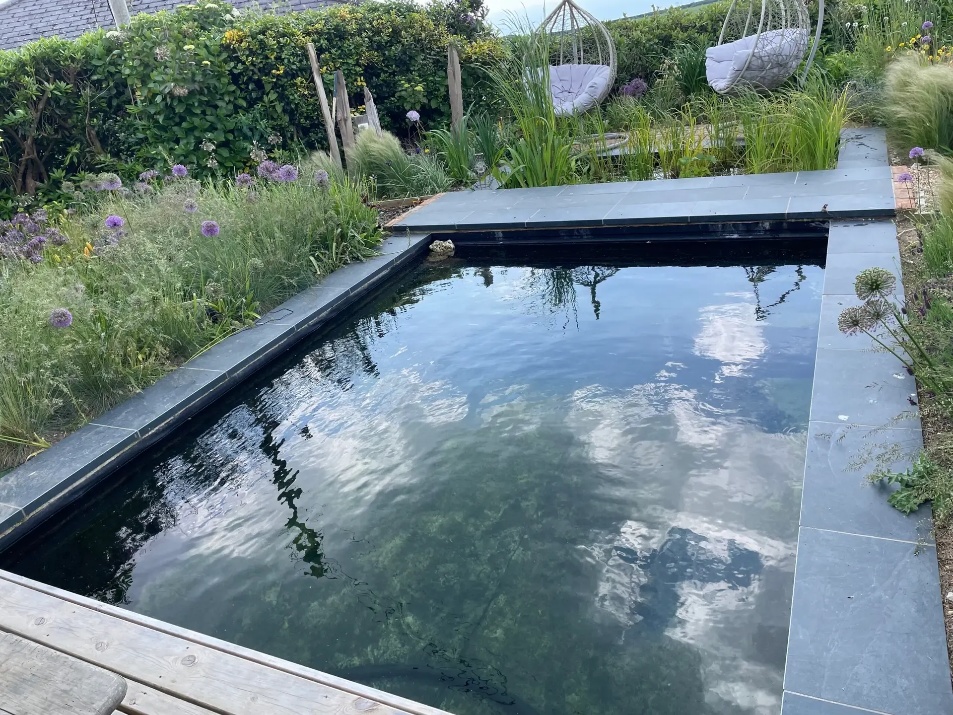 Garden room clad in reclaimed Shou Sugi Ban timber with green roof