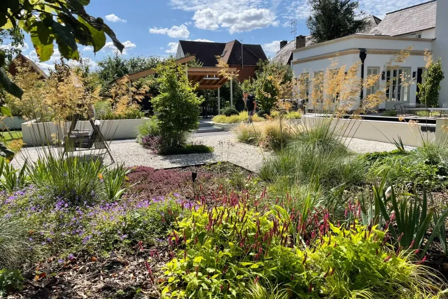 Contemporary garden with layered planting and seating area